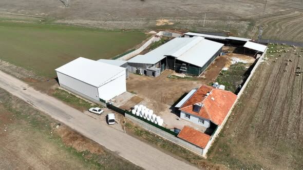 657531255 946507667853997 8651111124986498745 N