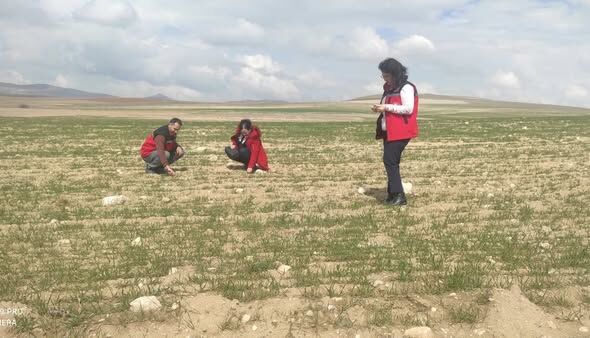 657576081 942742538230510 1477642245874770493 N