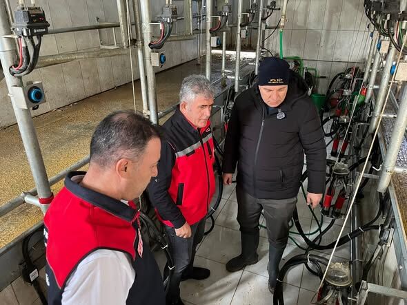 661375788 946507647853999 1366532801799573709 N