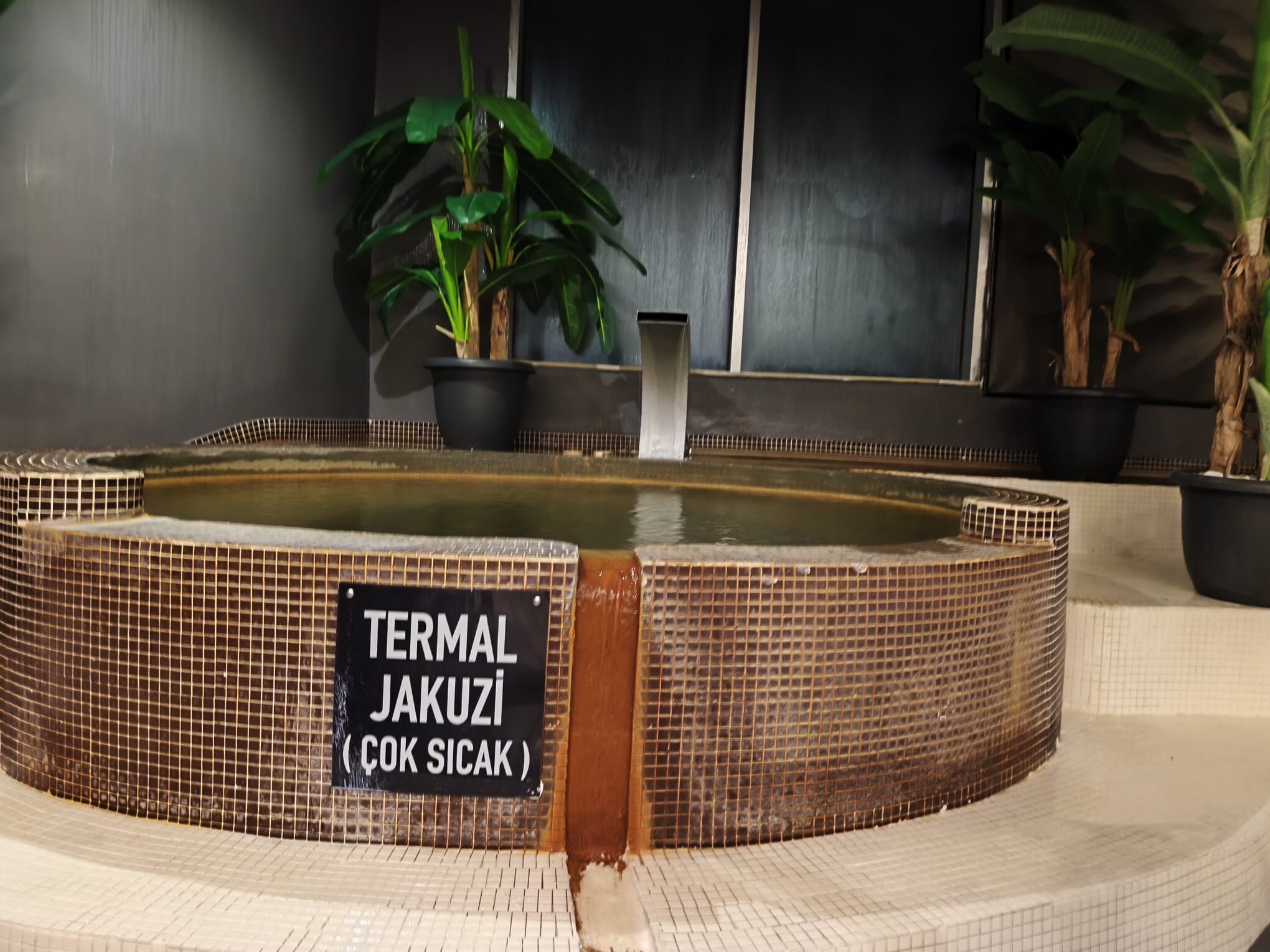 Whatsapp Image 2026 03 04 At 14.56.47 (1)