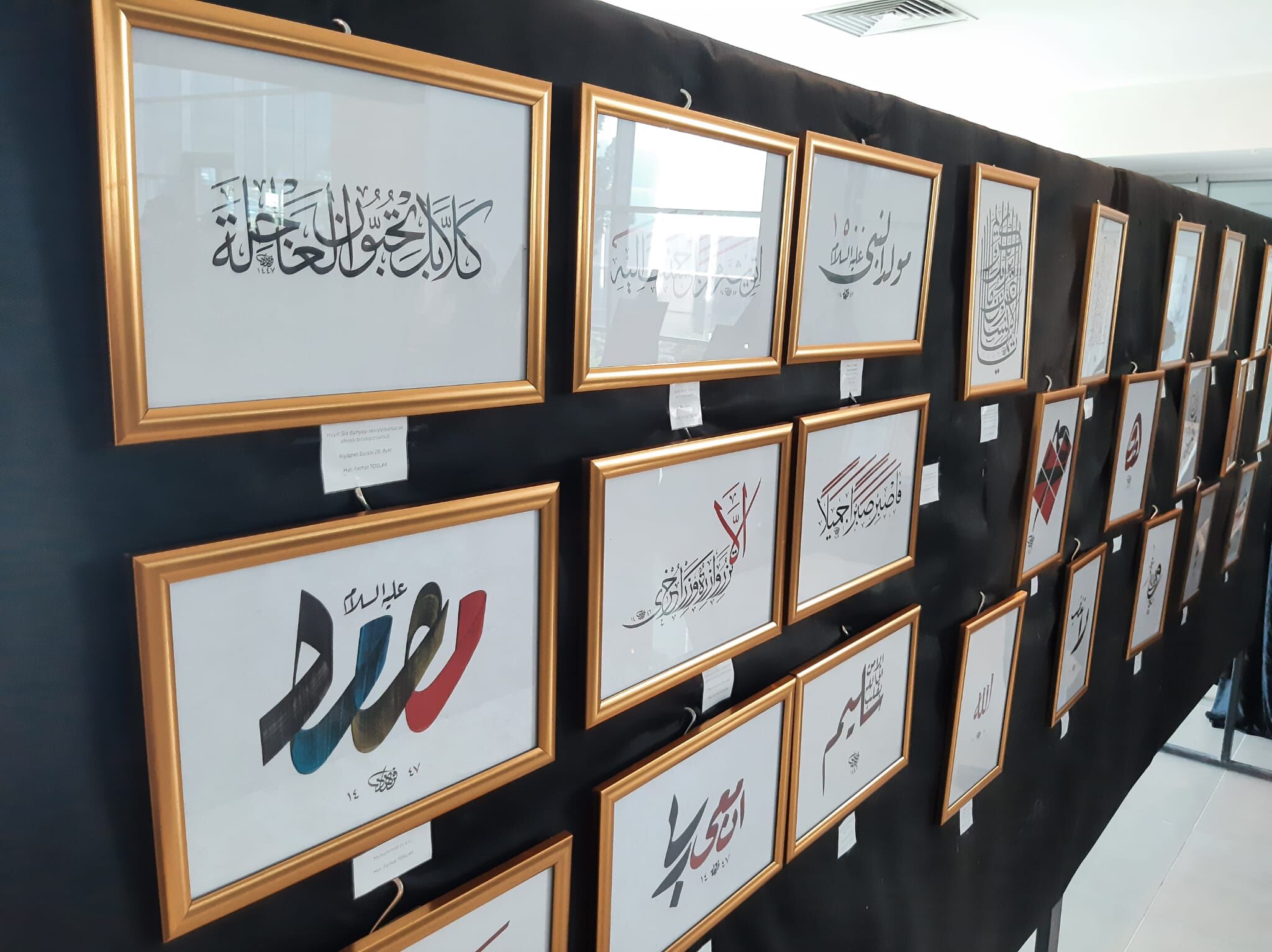 Whatsapp Image 2026 03 12 At 11.52.33 (2)