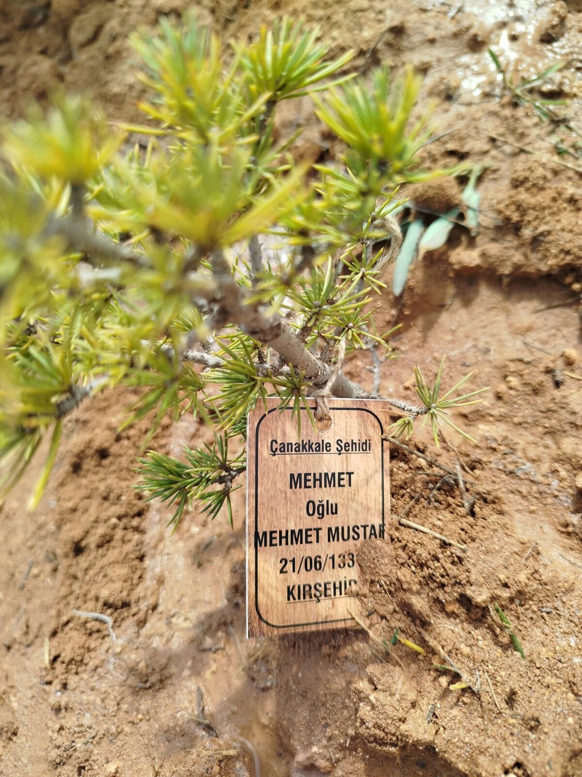 Whatsapp Image 2026 03 28 At 15.51.58 (1)