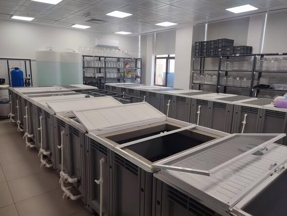 657717974 947279177776846 6803970949543668516 N