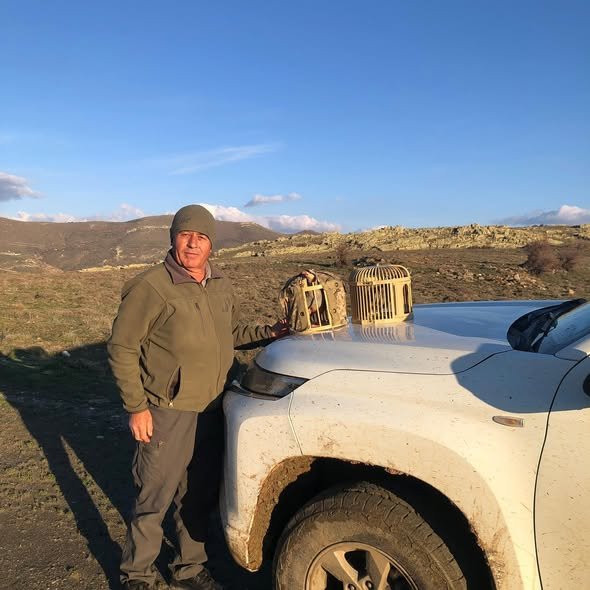 658356255 18574294153065290 8449063591933293344 N