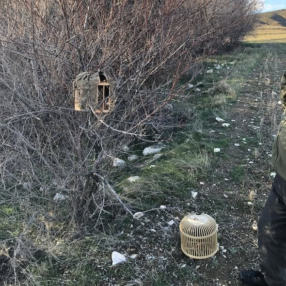 658474730 18574294150065290 4699934707518665564 N