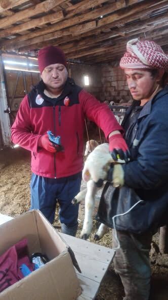 661724303 951402640697833 8219751300154549463 N