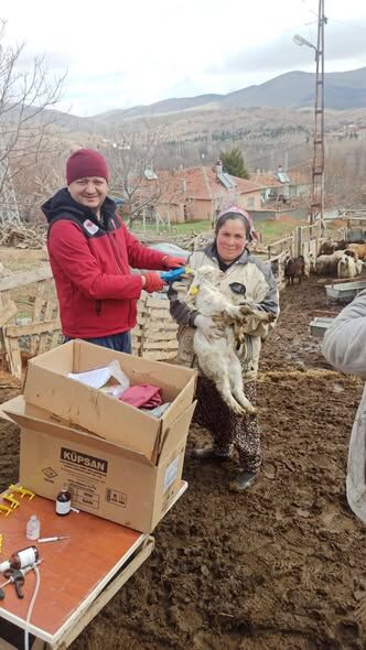 662089287 951402664031164 1035303420306844765 N