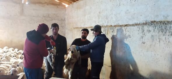 662181437 951402587364505 4249891472184813728 N