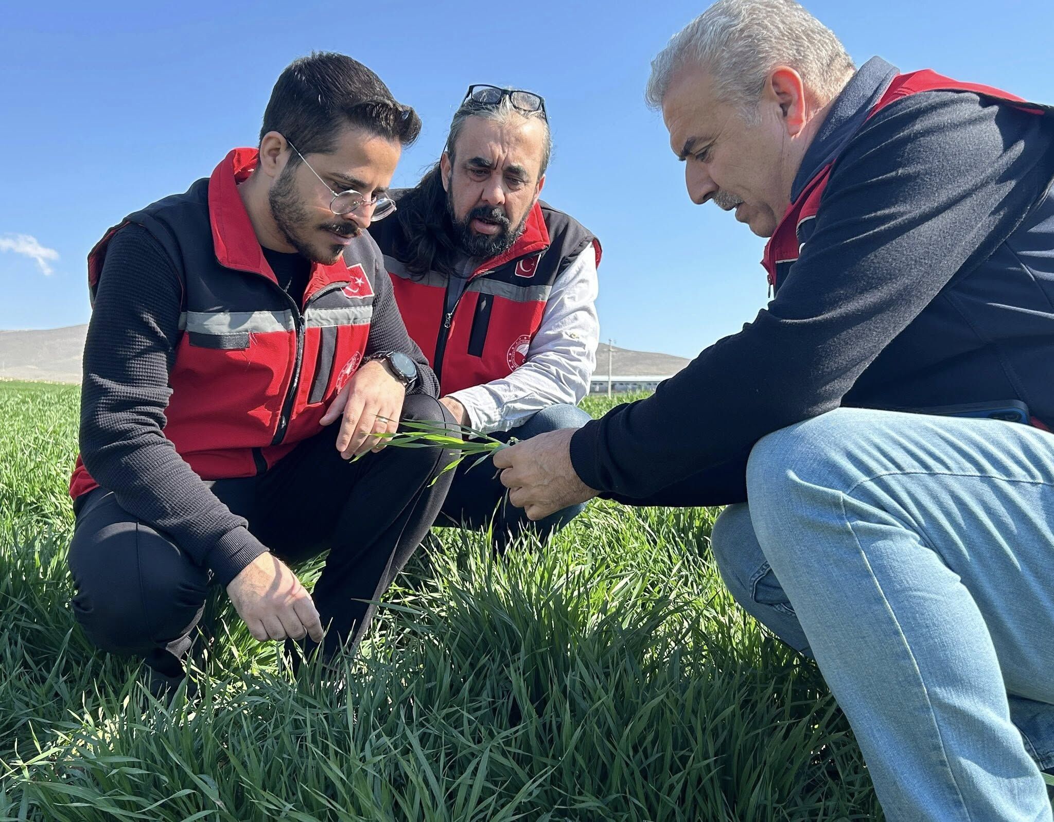 666891196 952857593885671 2451132411019325099 N