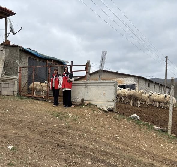 667959862 954306250407472 6810135816624244293 N