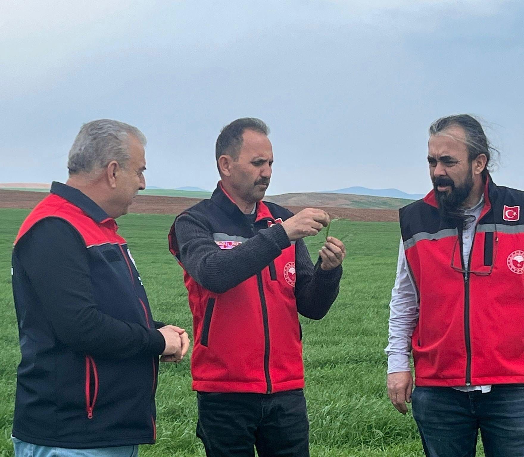 668112183 952857563885674 6502416440828595149 N