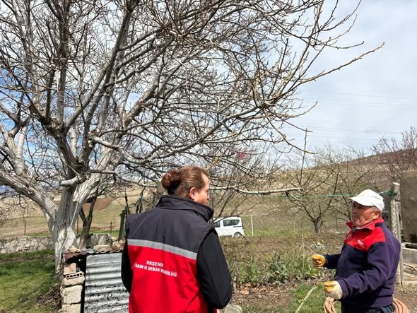 668258555 953654233806007 1651622783161938164 N