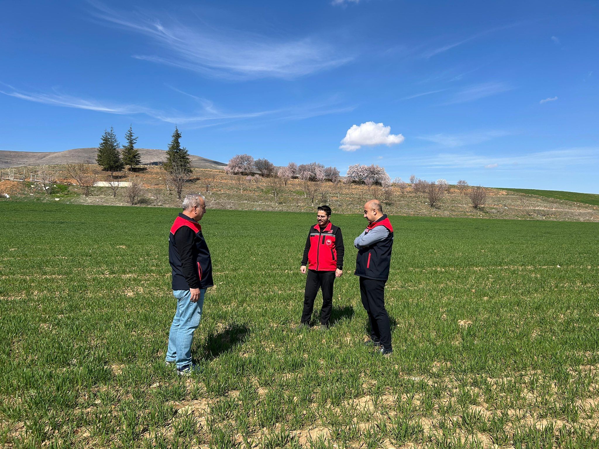 668612227 952857497219014 659744011613764109 N