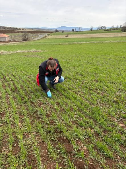 670041202 953654287139335 4738172020318303392 N