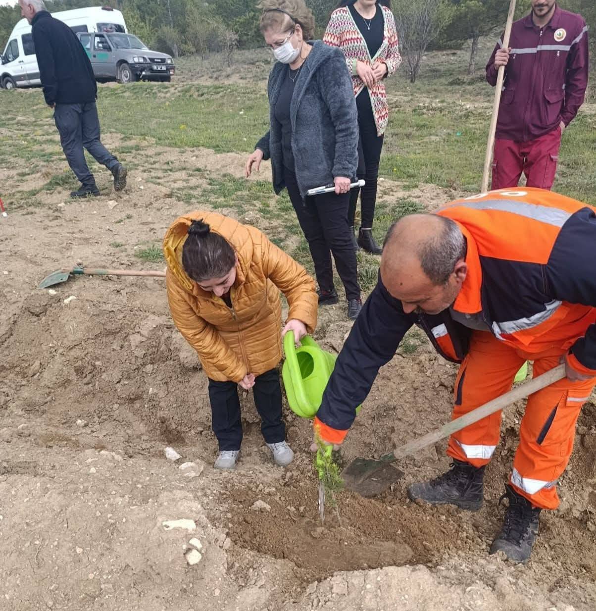 677183985 1783424116352717 1707099677294093841 N