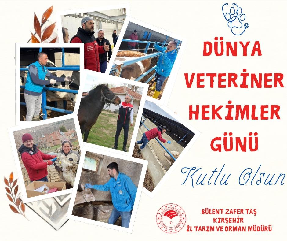 677716408 965869949251102 3867327404793782956 N