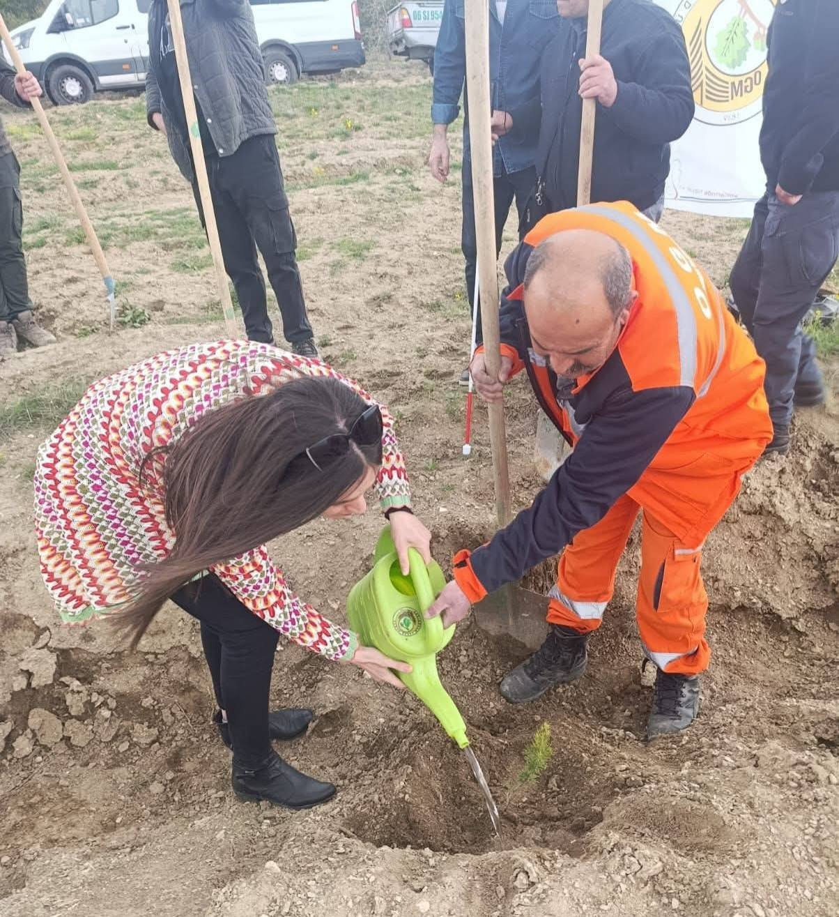 678288820 1783423893019406 8353799689581420003 N