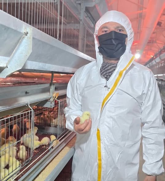 679130802 1785300806165048 7645992248615070541 N