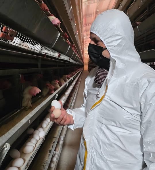 679372445 1785300586165070 2301004391886142211 N