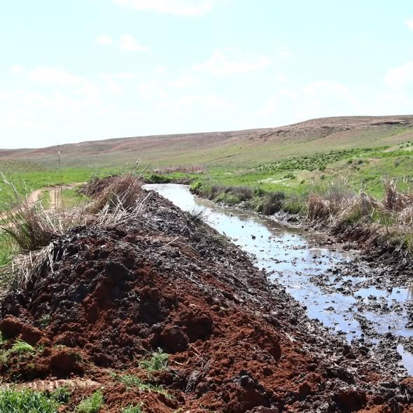 681231784 1788411775853951 6278457240535425032 N