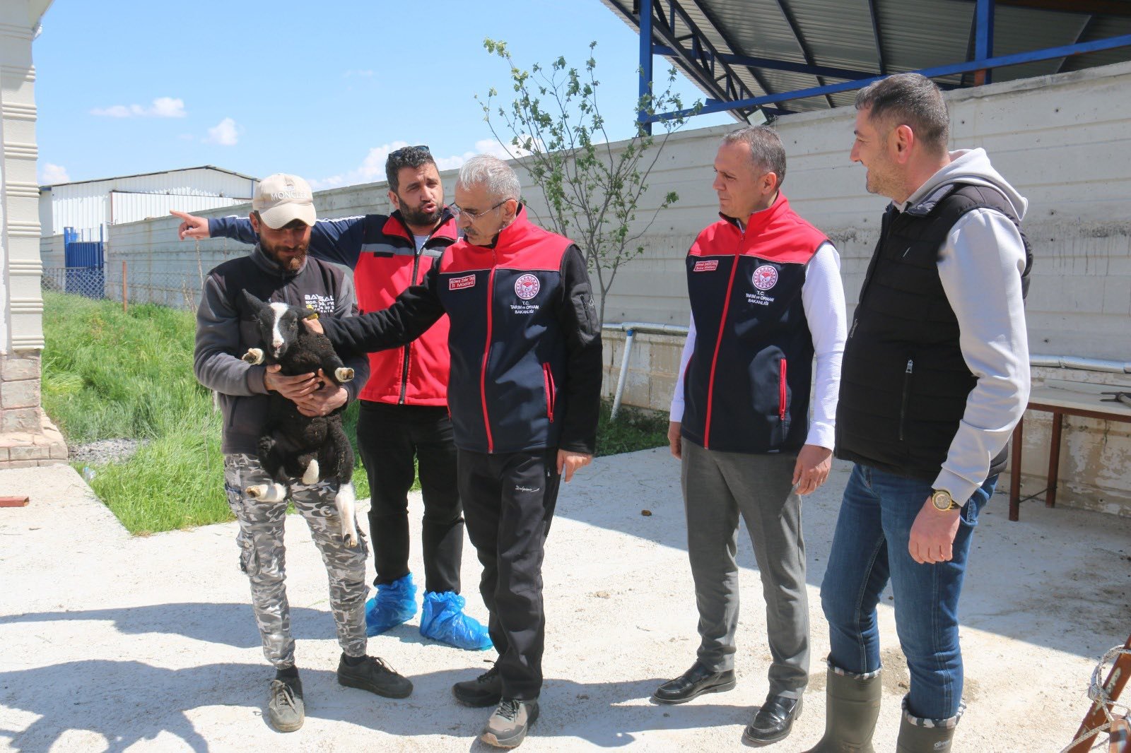 682076374 969254612245969 2960754911644220296 N