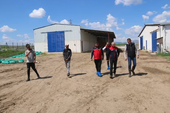 682237398 969254545579309 4027389637564240200 N