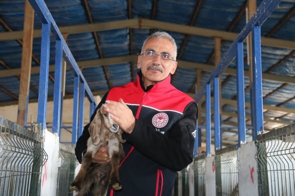 682485653 969254582245972 4862337896408549027 N