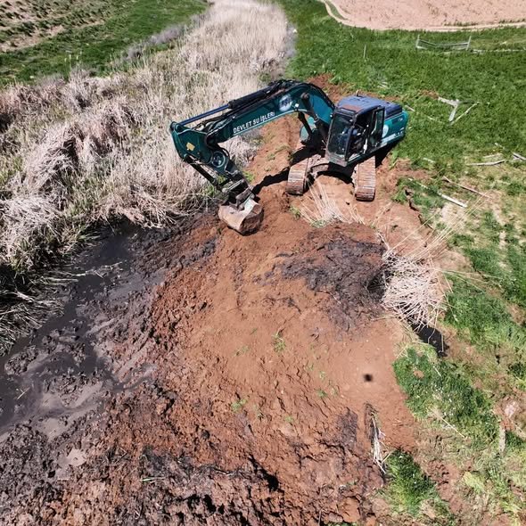 683001554 1788411839187278 1489887784026487892 N