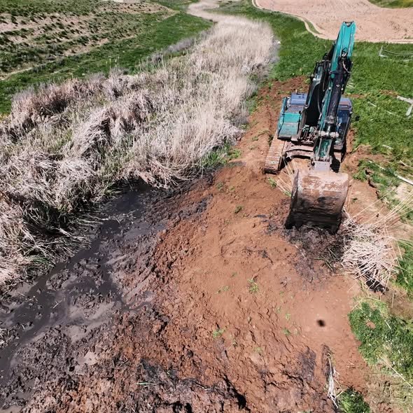 683213445 1788411732520622 3920328961300790972 N