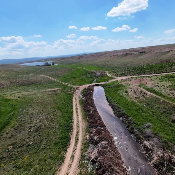 683239305 1788411642520631 415920665657896309 N