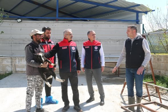 684260019 969254598912637 3241479353640796235 N