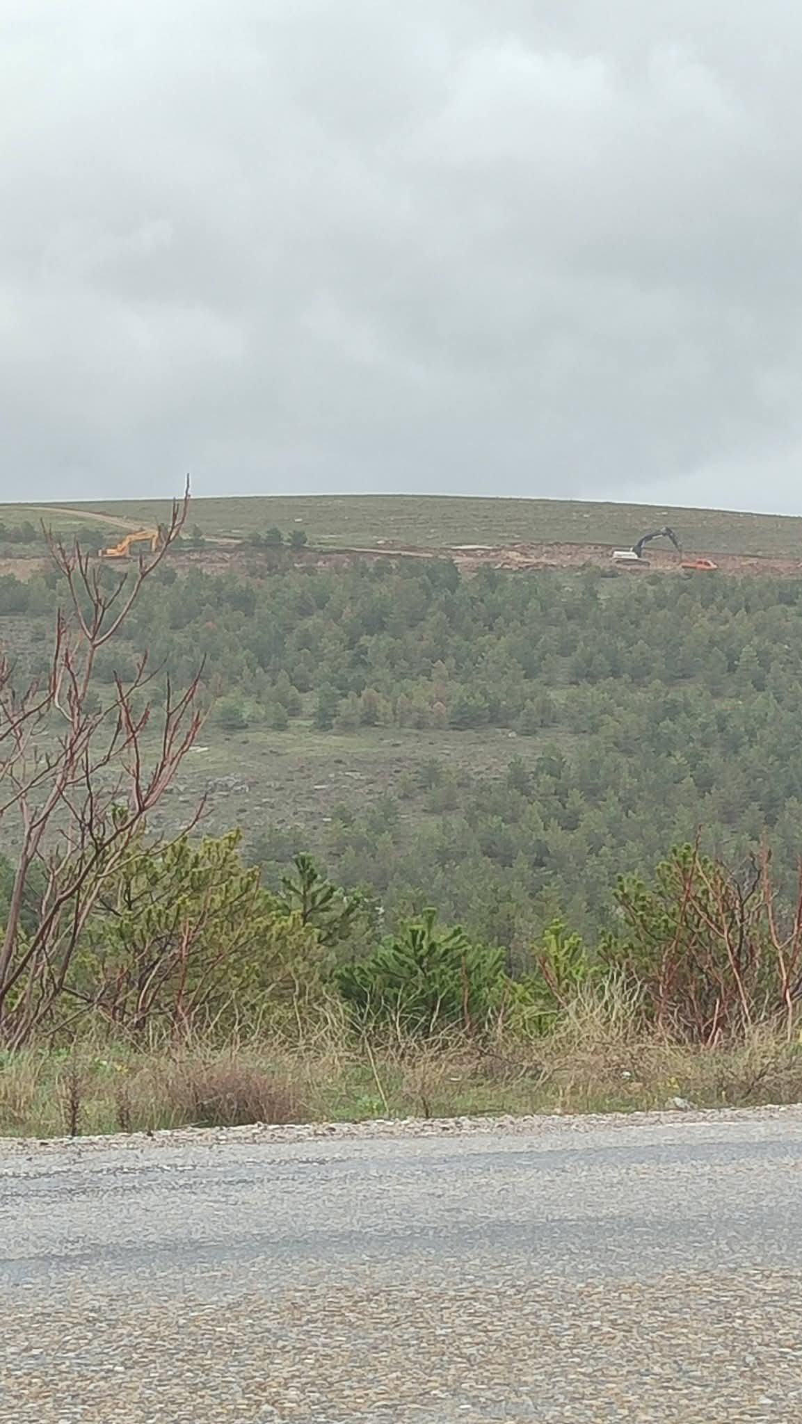 I M G 20260419 W A0012