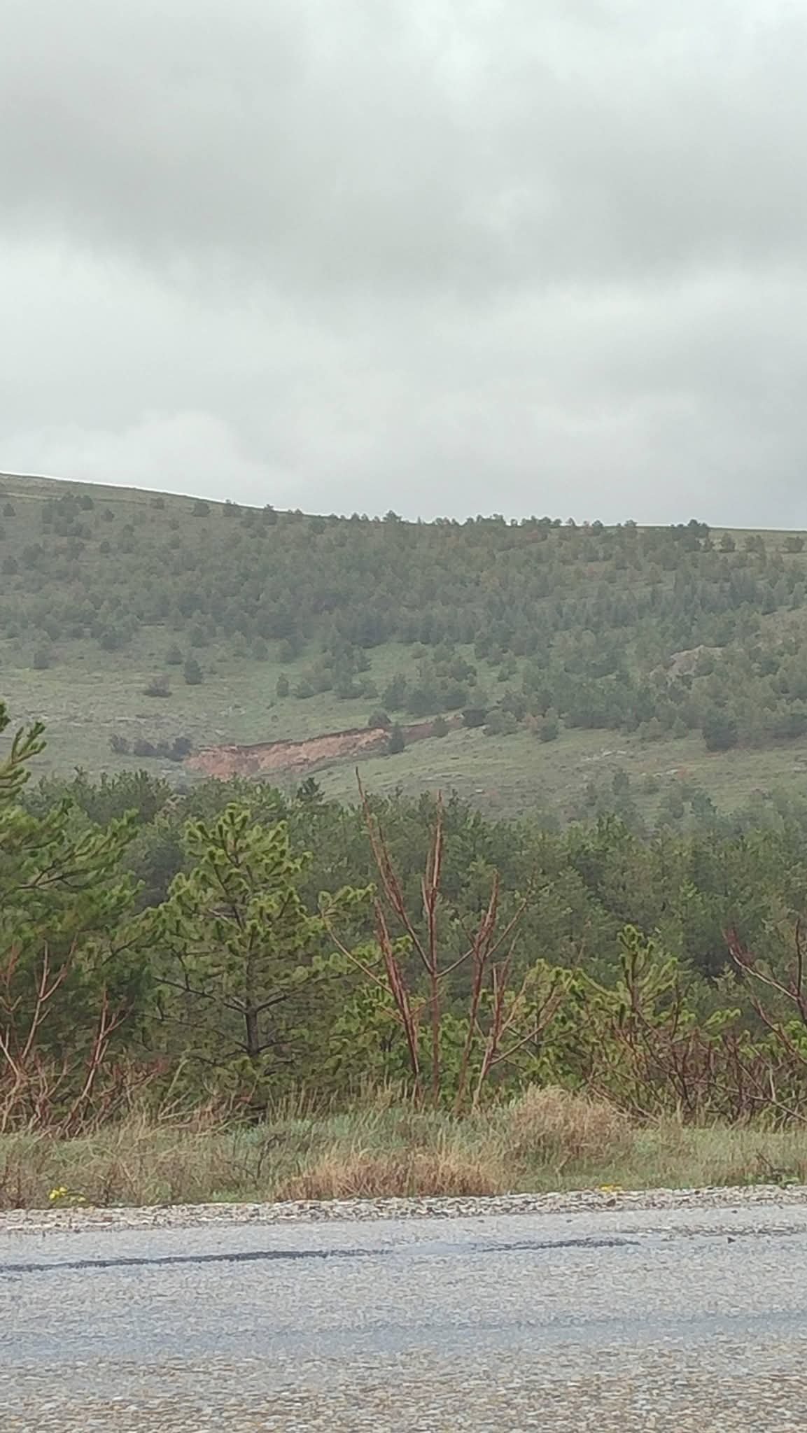 I M G 20260419 W A0013