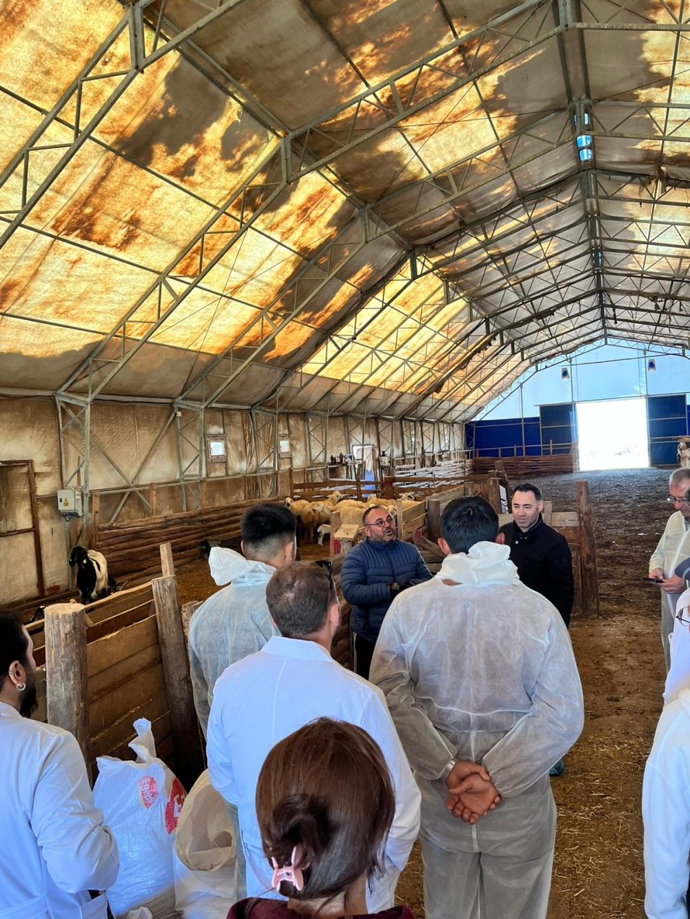 Whats App Image 2026 04 17 At 15.27.01 4