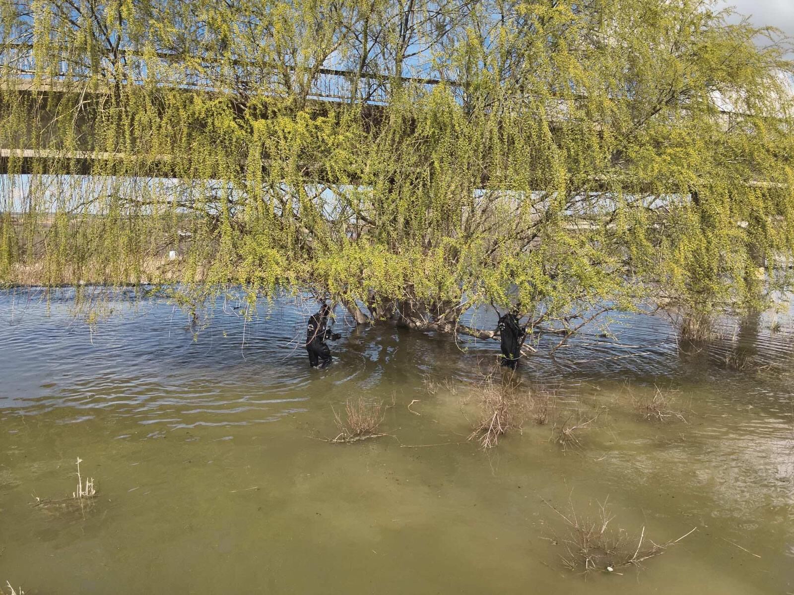 Whatsapp Image 2026 04 09 At 13.35.48 (2)