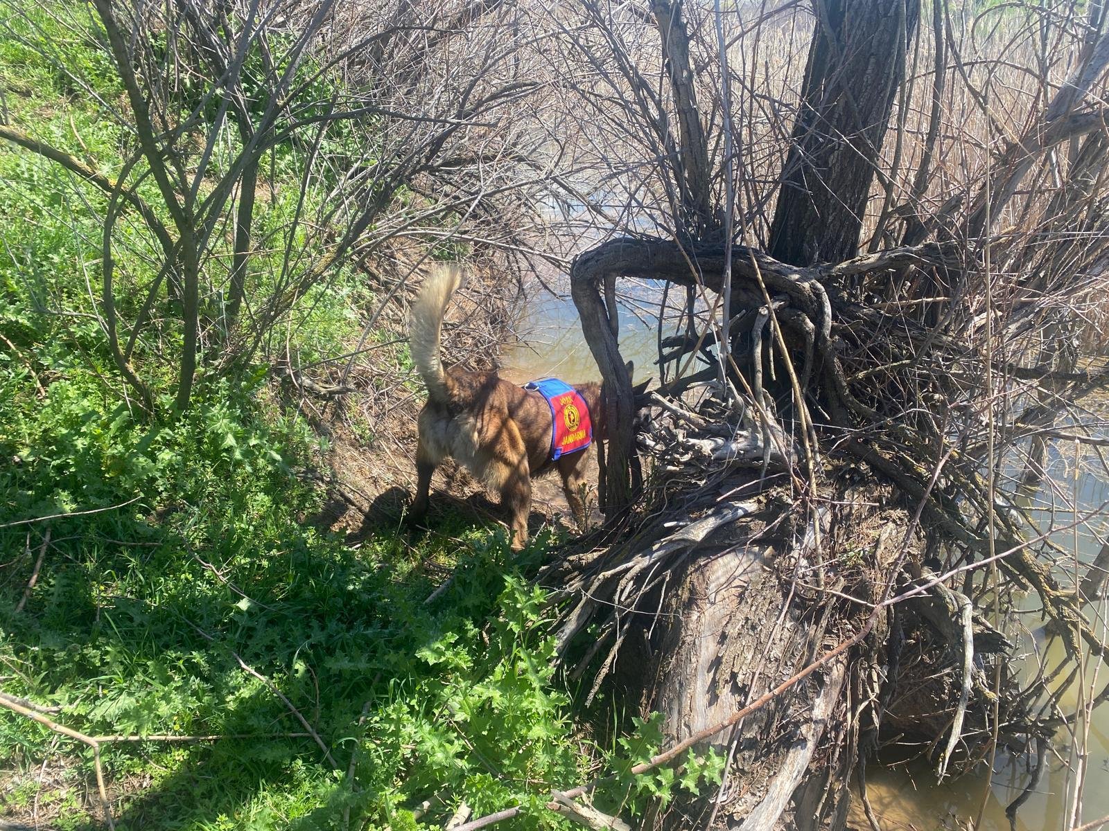 Whatsapp Image 2026 04 12 At 14.22.26