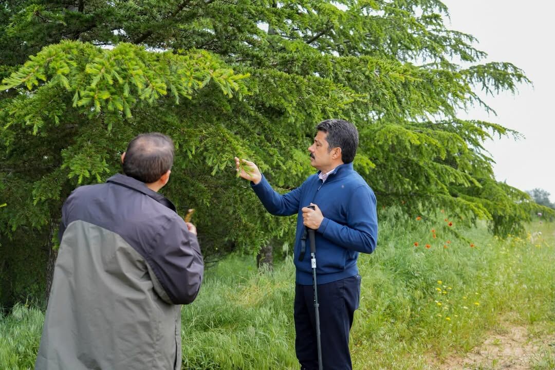 📍Kırşehir Kervansaray Dağlarıdoğa Koruma Ve Milli Parklar Genel Müdürlüğü’nce Süregelen Doğaya (7)