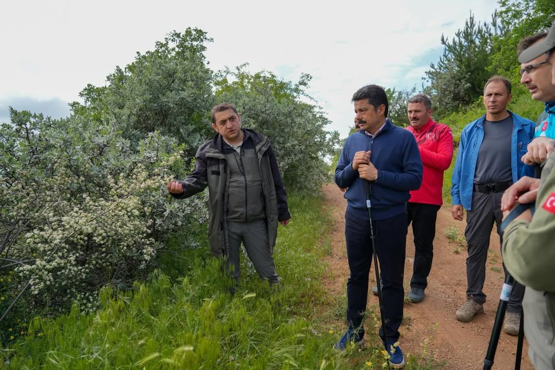 📍Kırşehir Kervansaray Dağlarıdoğa Koruma Ve Milli Parklar Genel Müdürlüğü’nce Süregelen Doğaya (9)