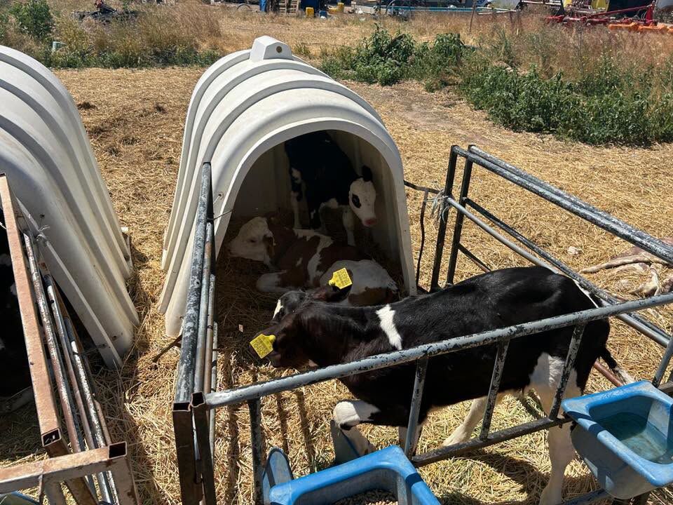 Tarım4-16