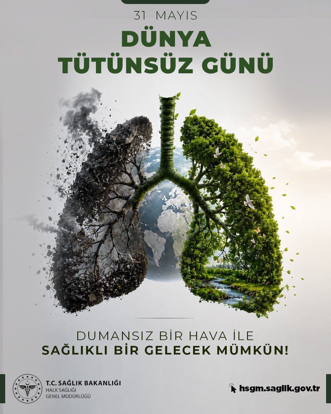 Tütün-2