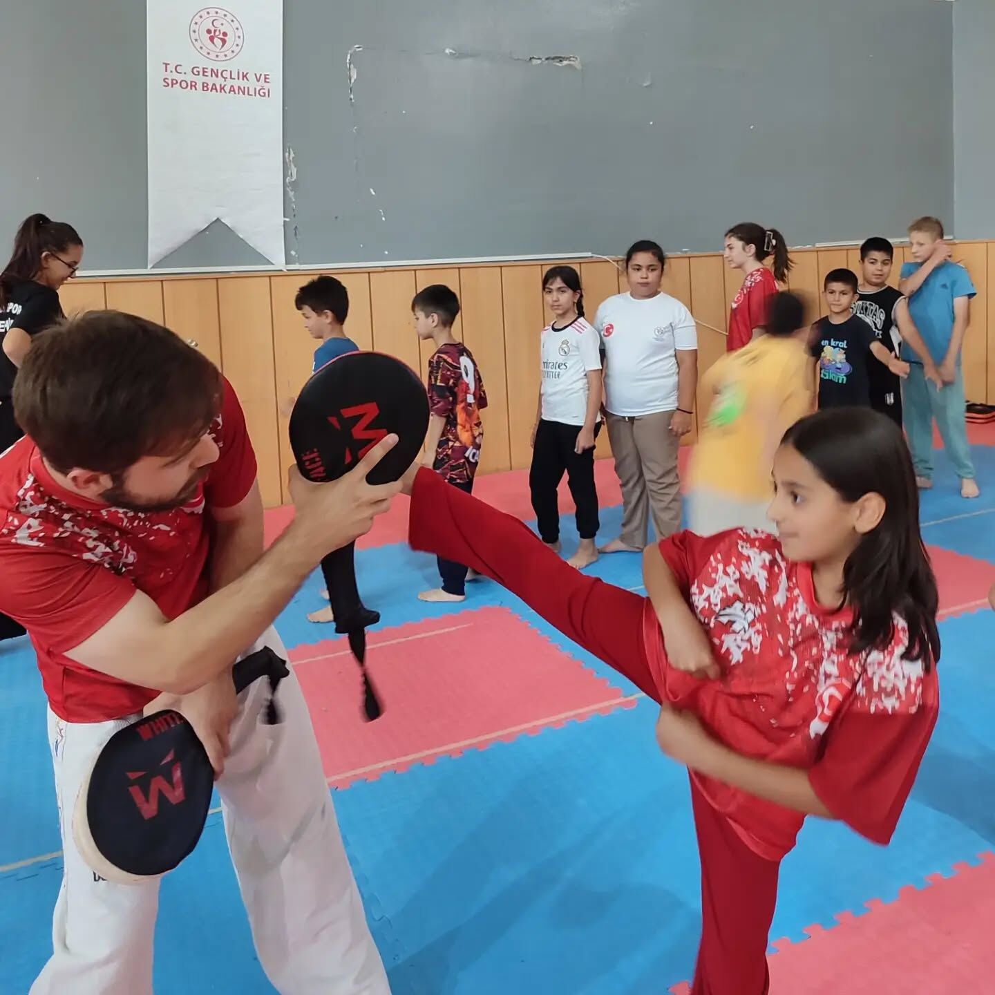 Taekwondo1-2