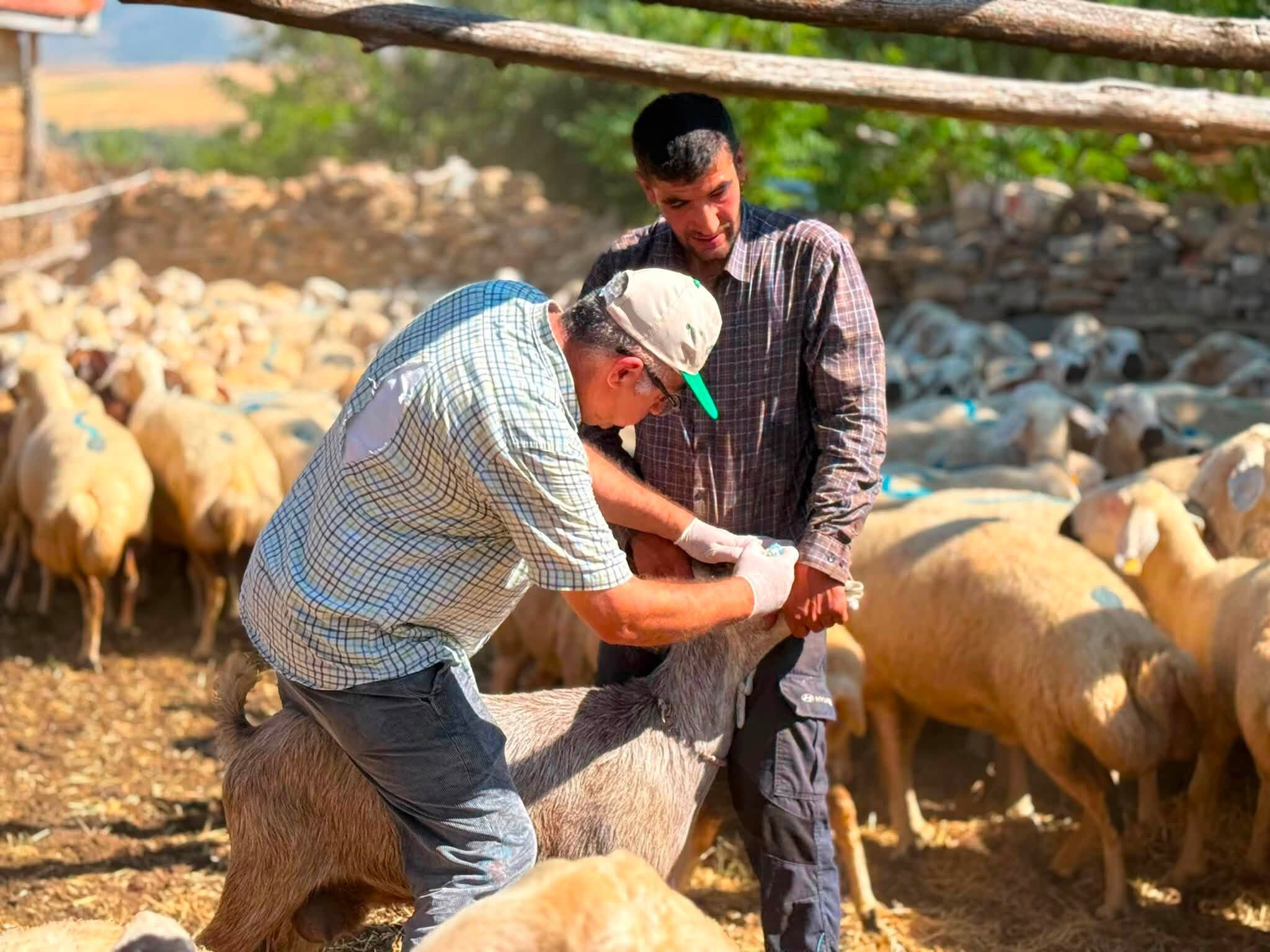 Aşılama