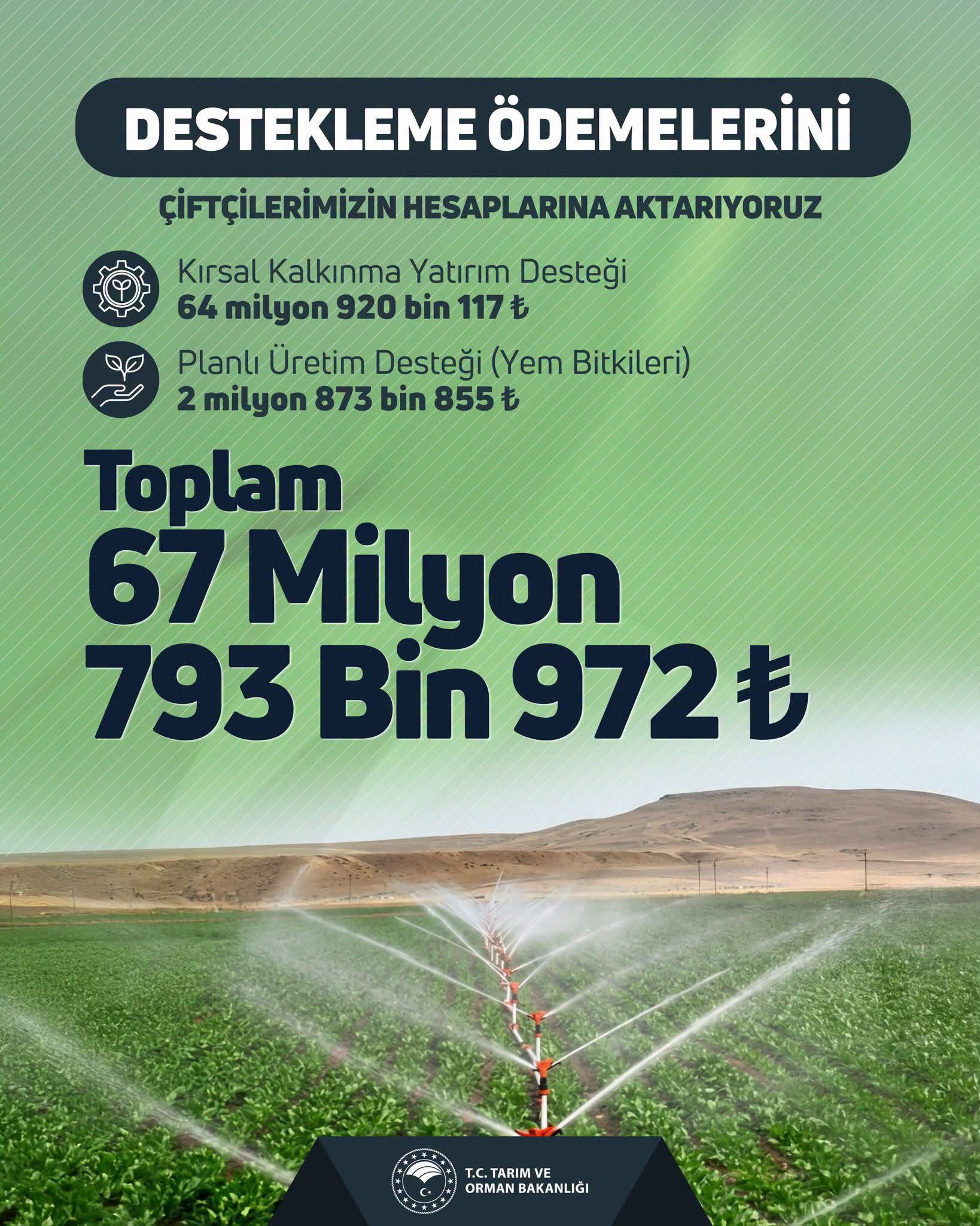 Tarım-85