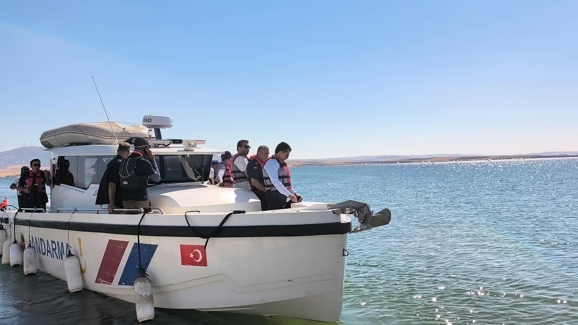 Y6-1
